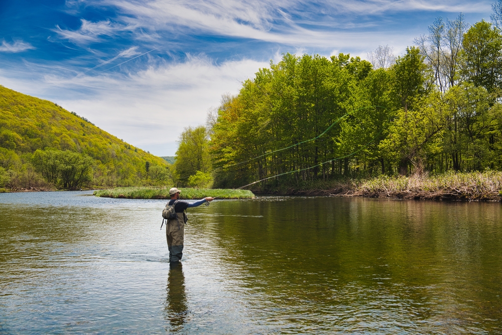 Fly Fishing & Drift Trips