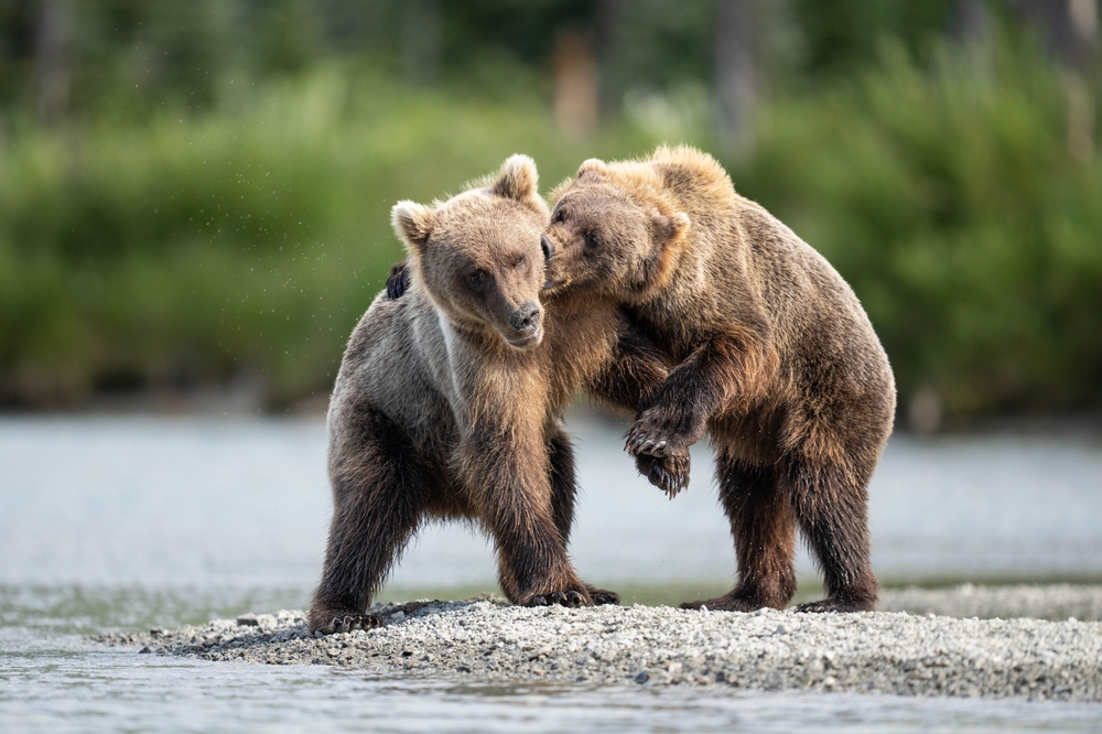 Kenai National Wildlife Refuge